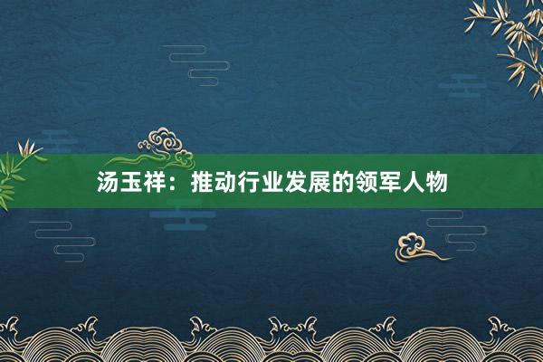 汤玉祥：推动行业发展的领军人物